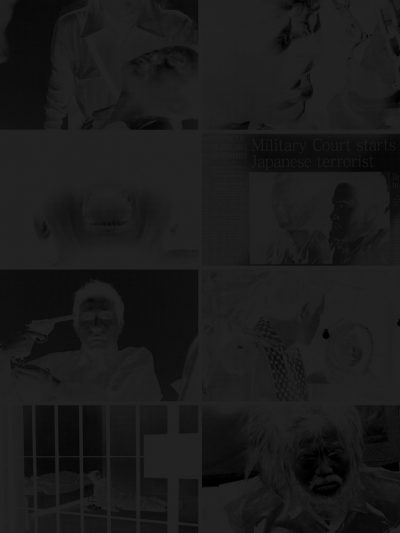 Pictures of Documents (Prisoner/Terrorist, 2006)