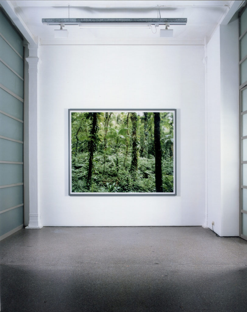 Exhibition view