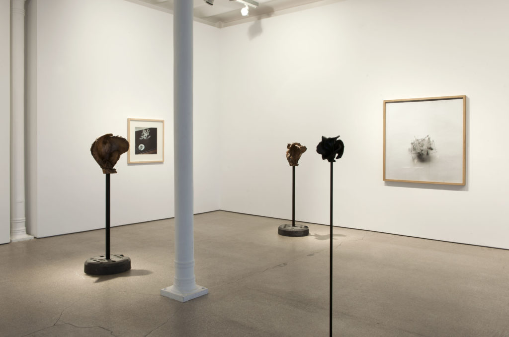 Exhibition View