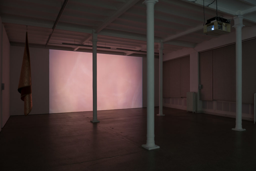 Exhibition view