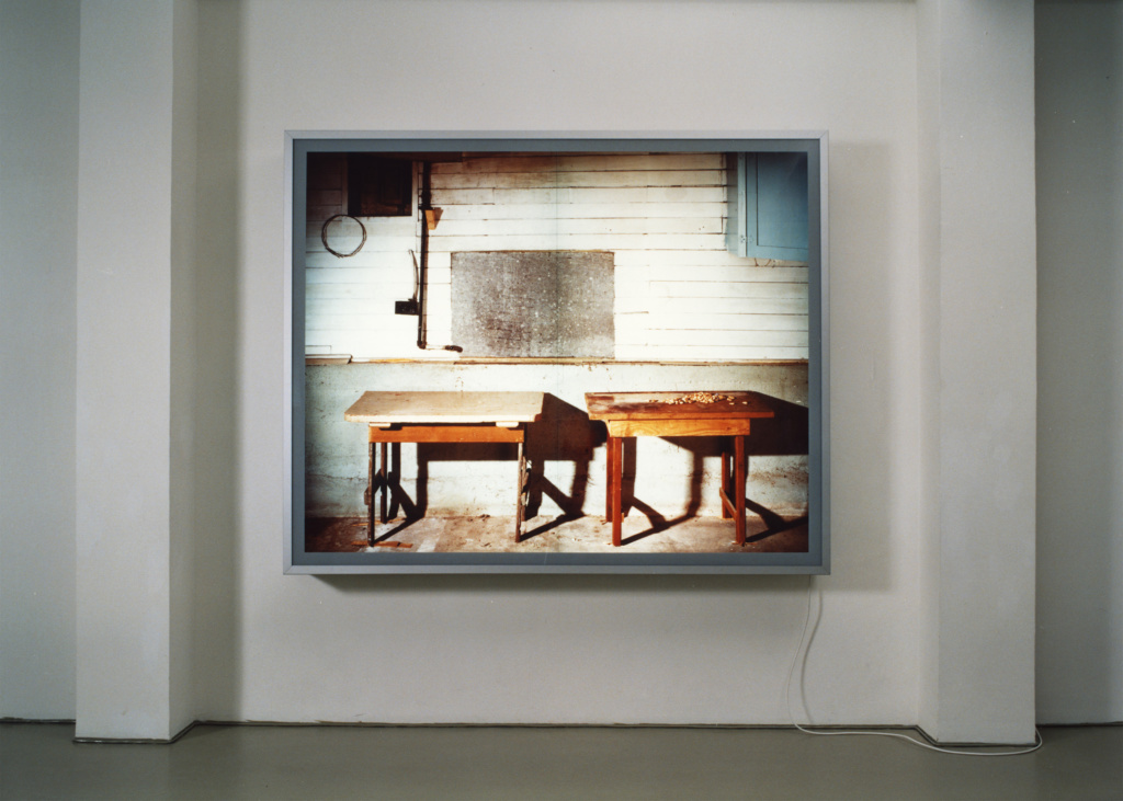 Installation view