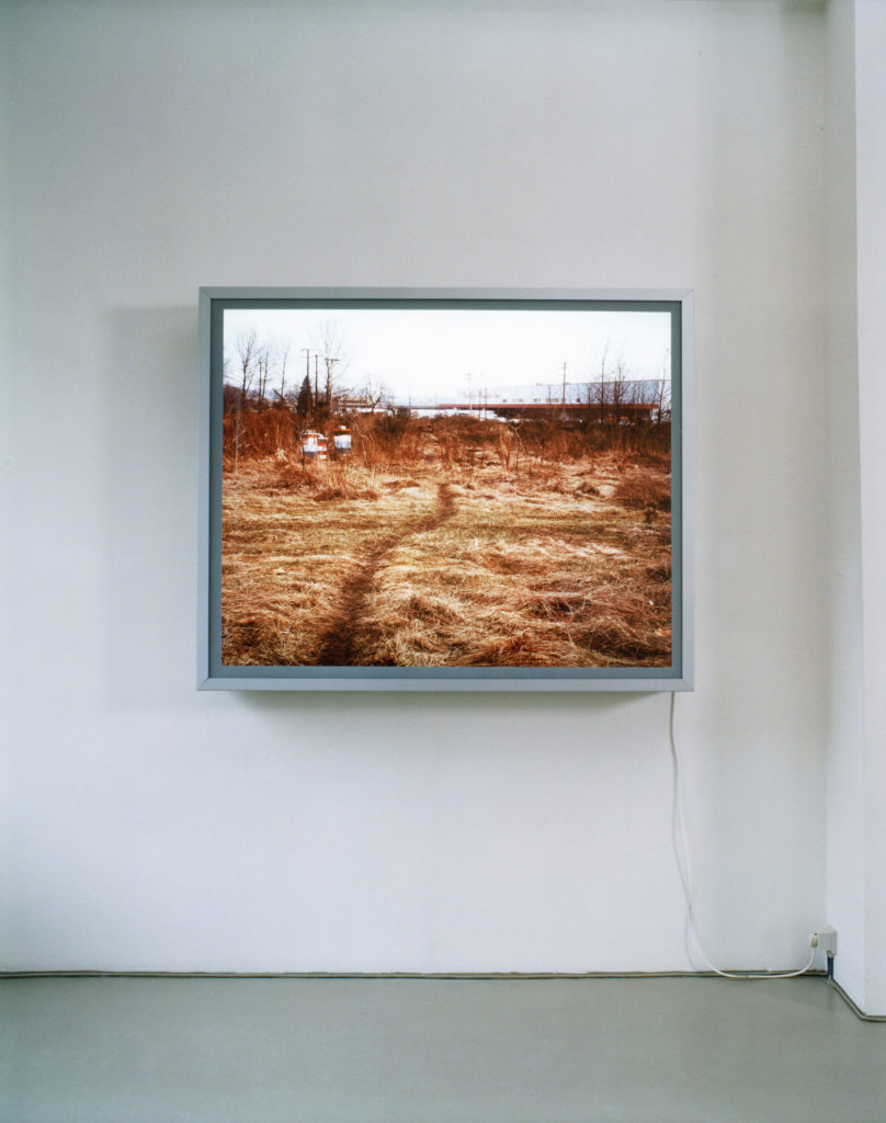 Exhibition view