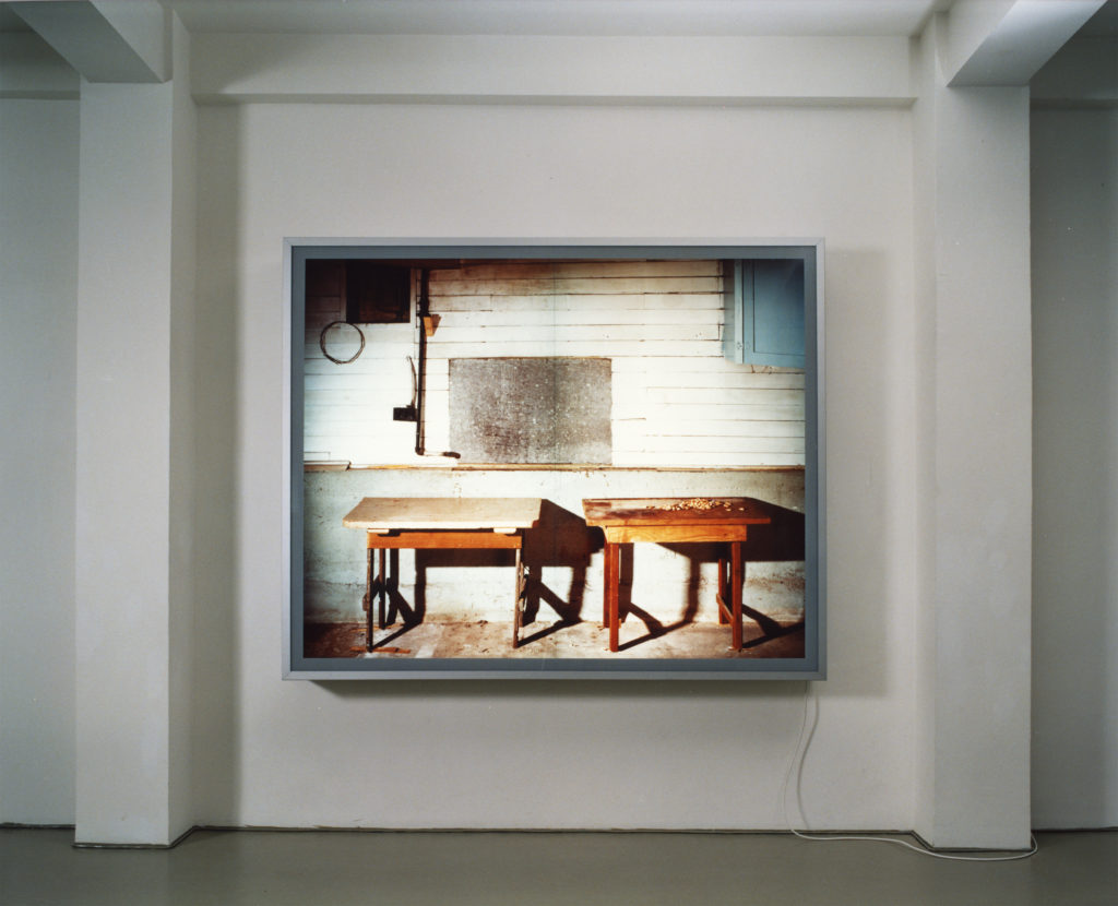 Exhibition view