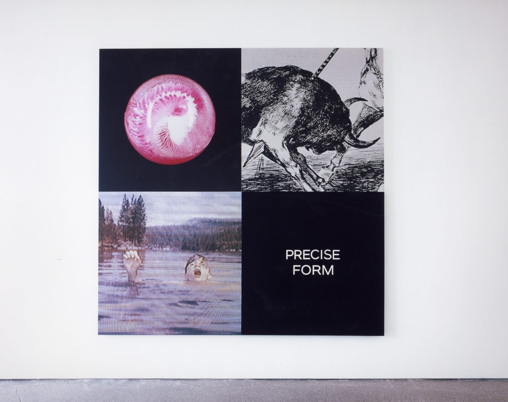 Exhibition view