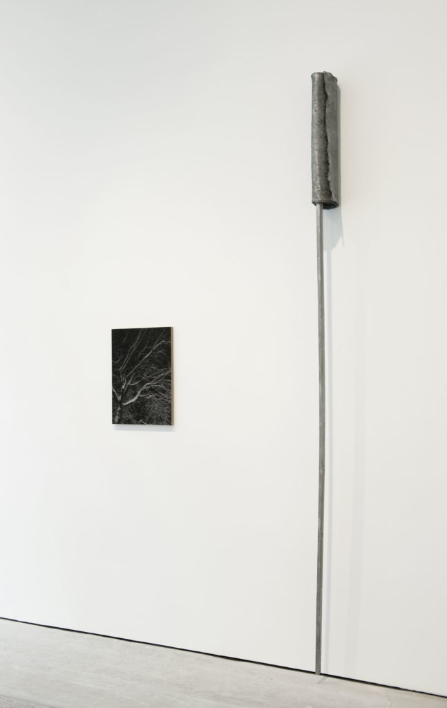 Exhibition view