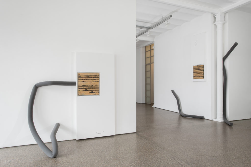 Exhibition view