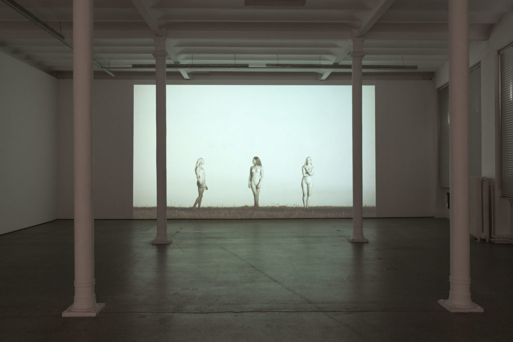 Exhibition View