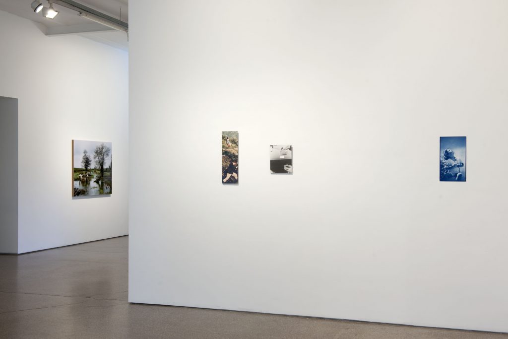 Exhibition View