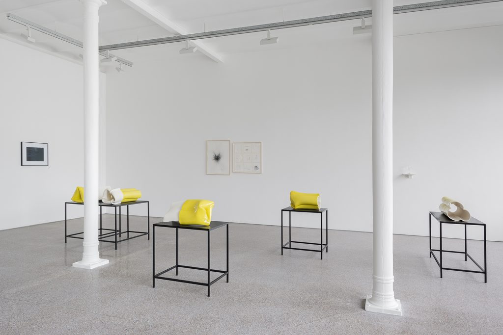 Exhbition View