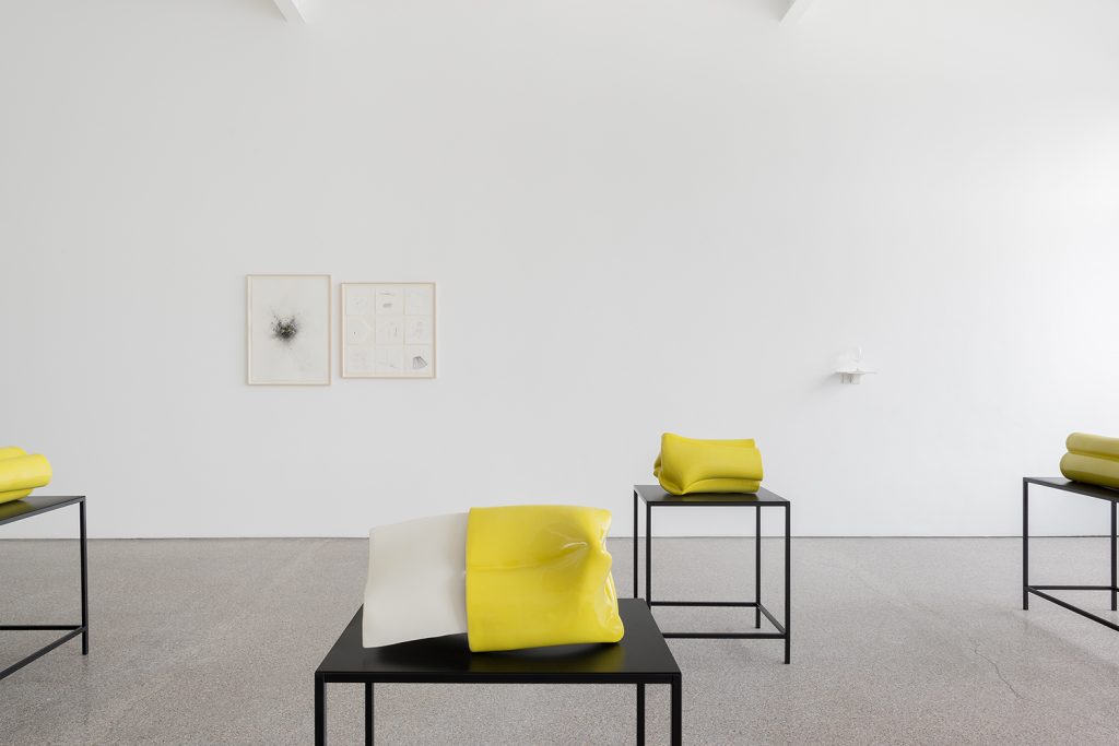 Exhbition View
