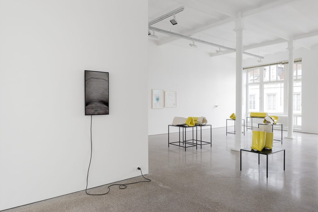 Exhbition View