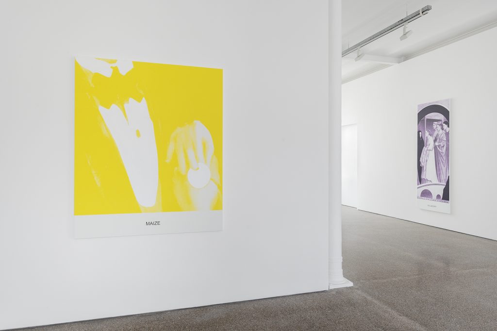 Exhibition View