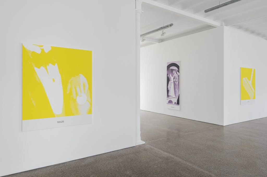 Exhibition View