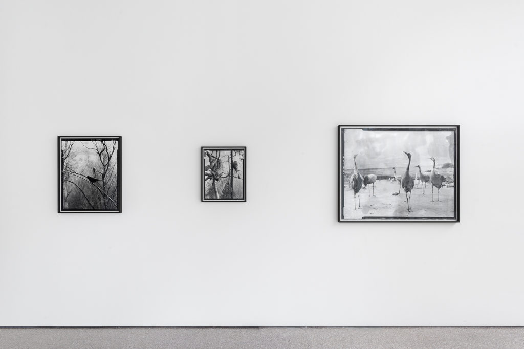 Exhibition view