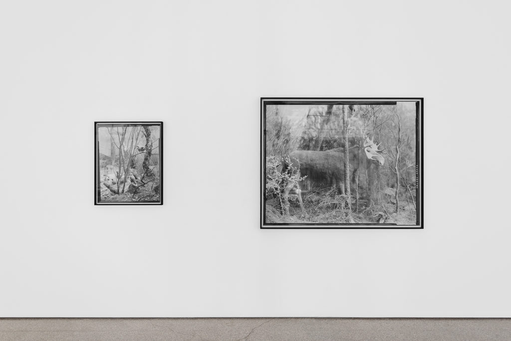 Exhibition view