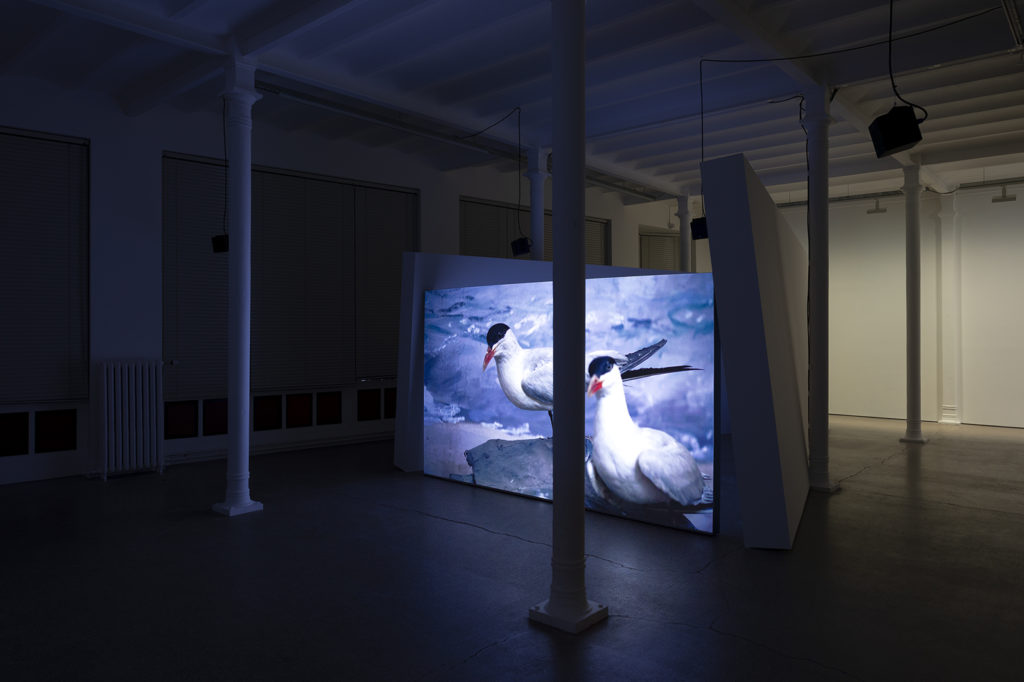 Exhibition view