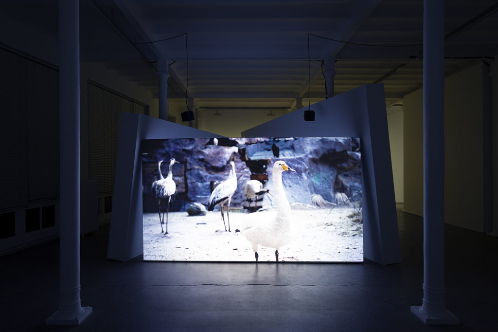 Exhibition view