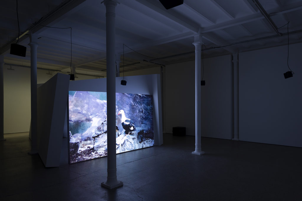 Exhibition view