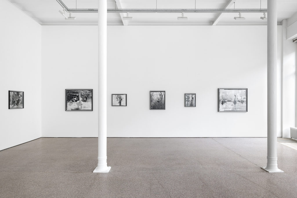 Exhibition view