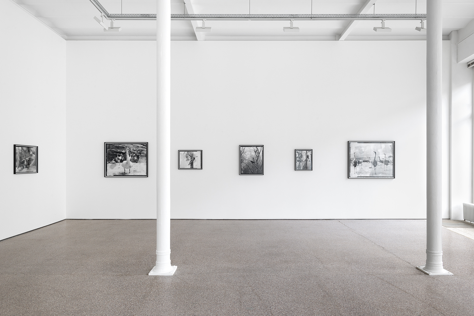Jielemeguvvie guvvie sjisjnjeli – A film inside an image & some related works.