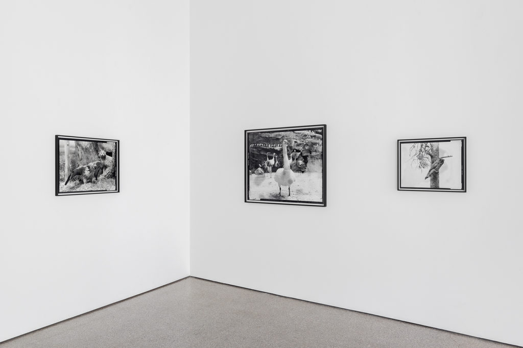 Exhibition view