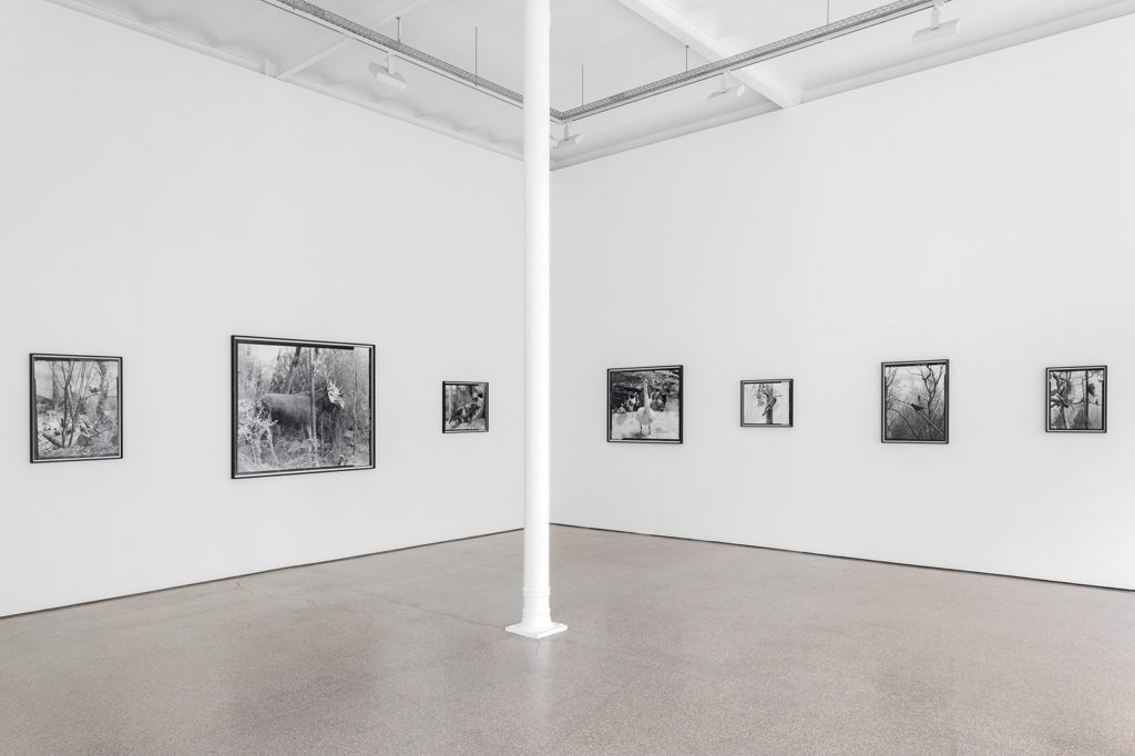 Exhibition view