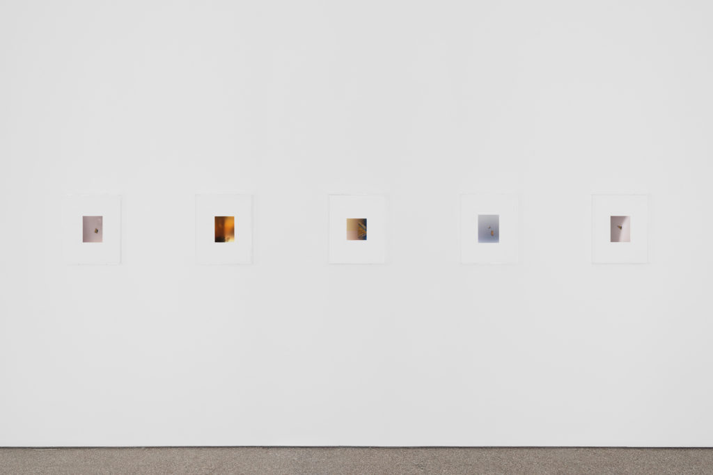Exhibition view