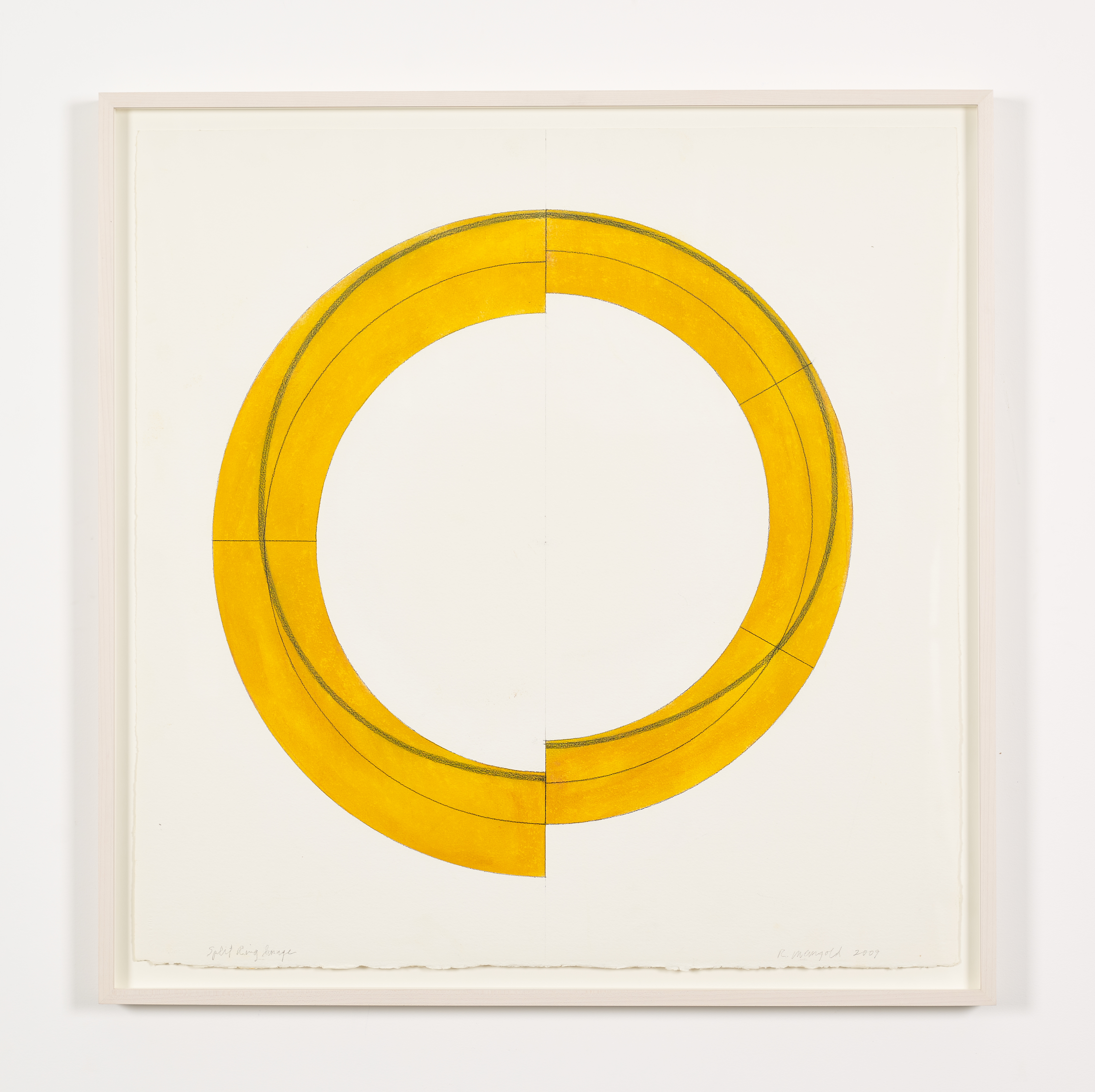 Split Ring Image