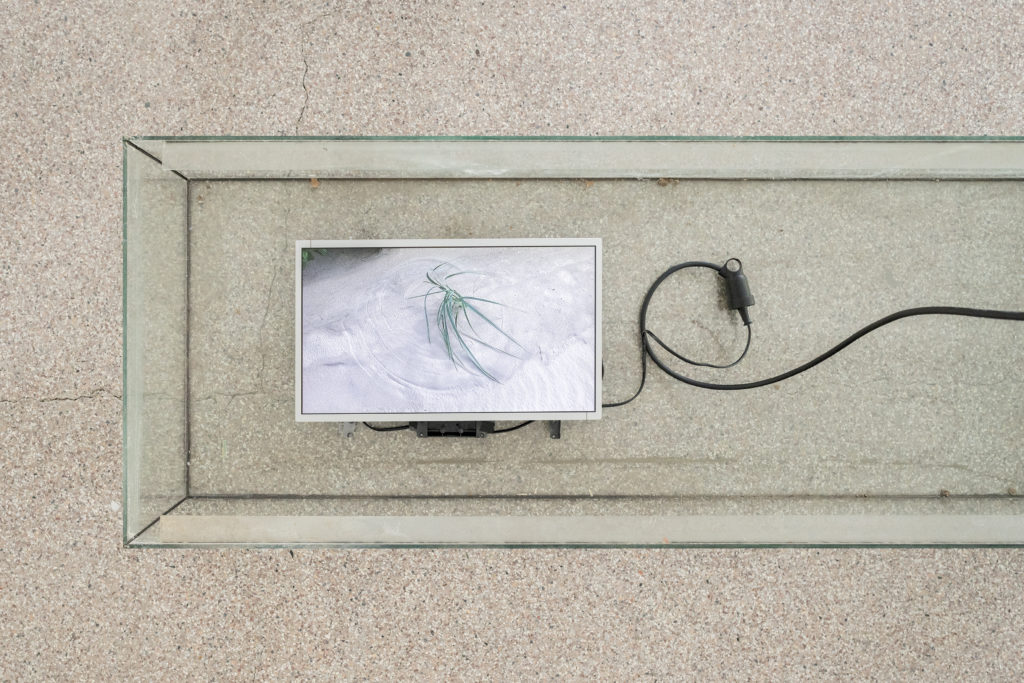 Installation view