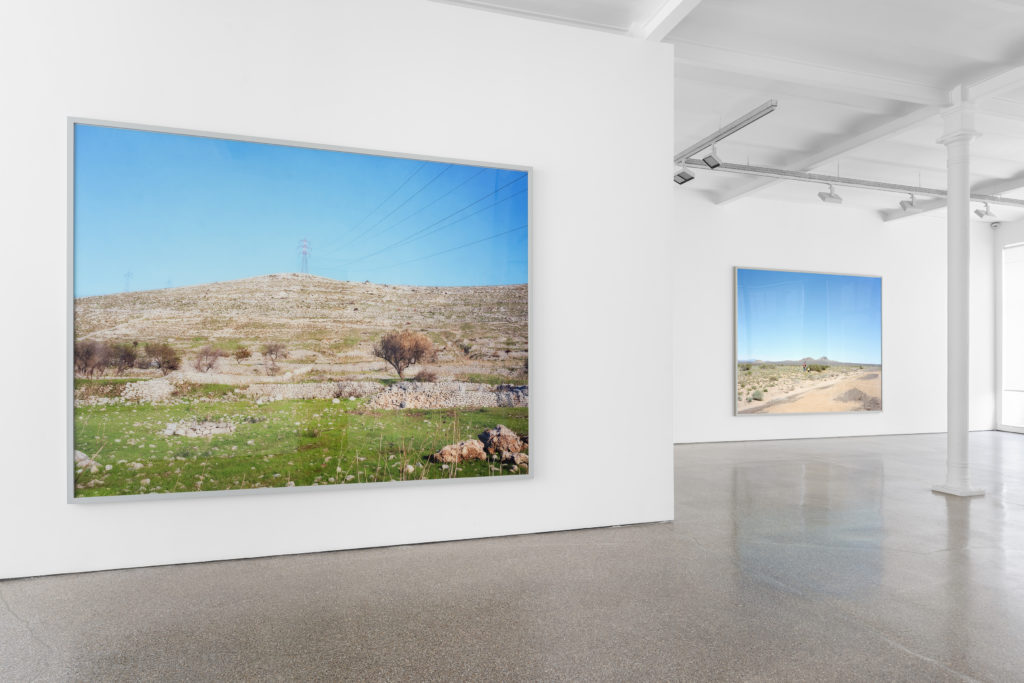 installation view 