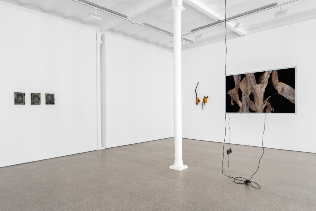 Installation view, Ne pas laver le sable jaune