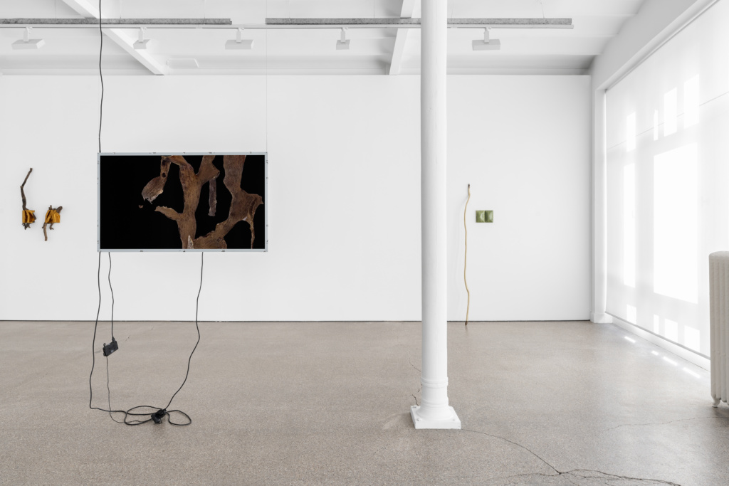 Installation view, Ne pas laver le sable jaune