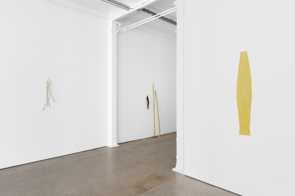 Installation view, Ne pas laver le sable jaune