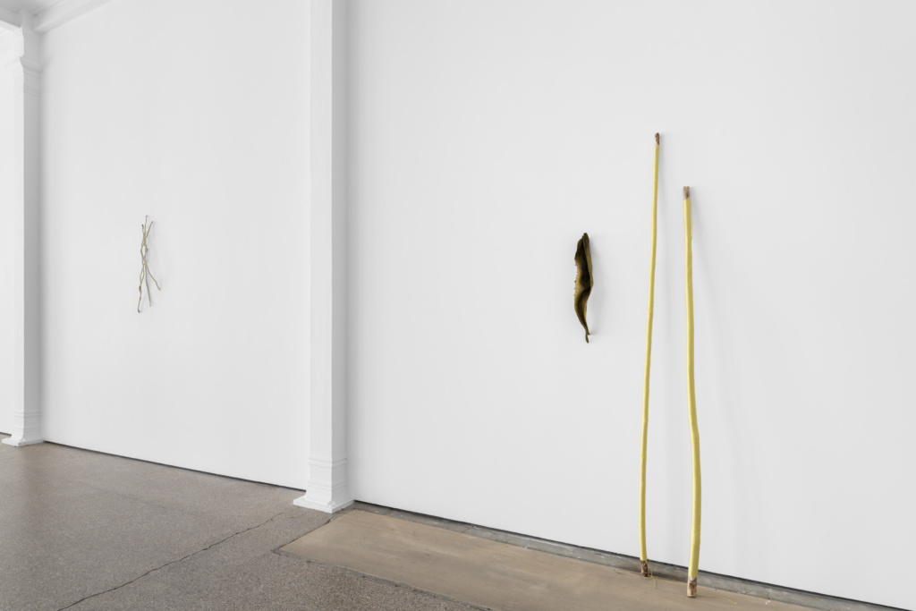 Installation view, Ne pas laver le sable jaune