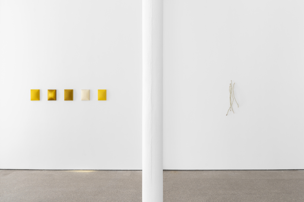 Installation view, Ne pas laver le sable jaune