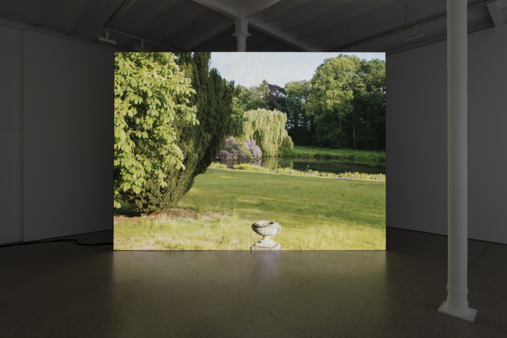 Installation view, Birdsong