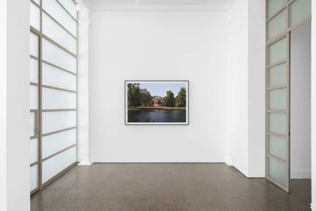 Installation view, Birdsong