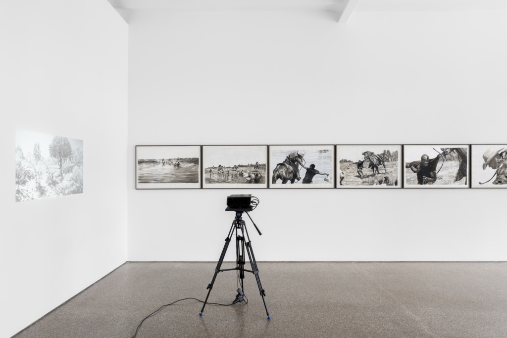Installation view, Birdsong