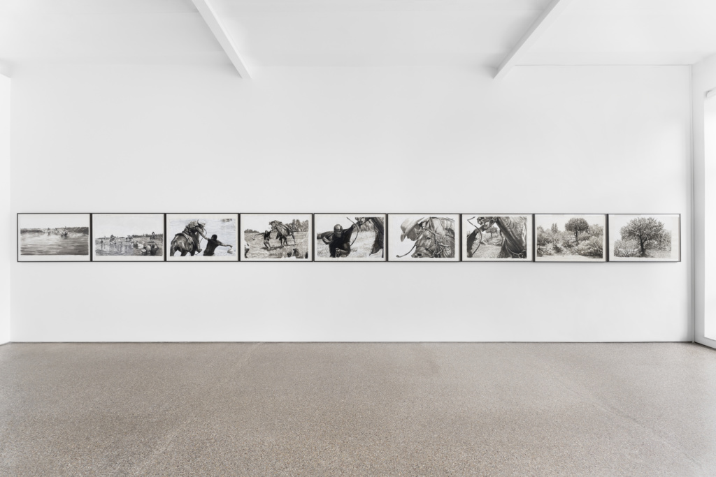 Installation view, Birdsong