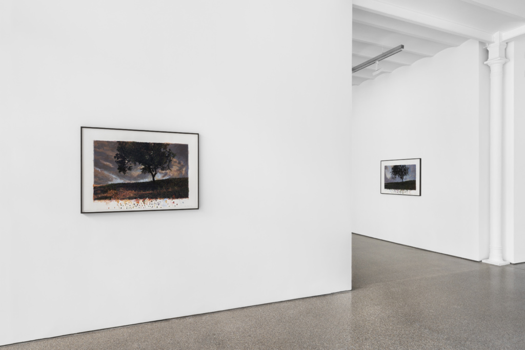 Installation view, Birdsong