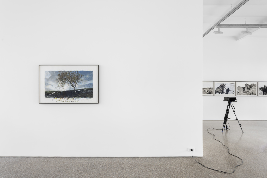 Installation view, Birdsong