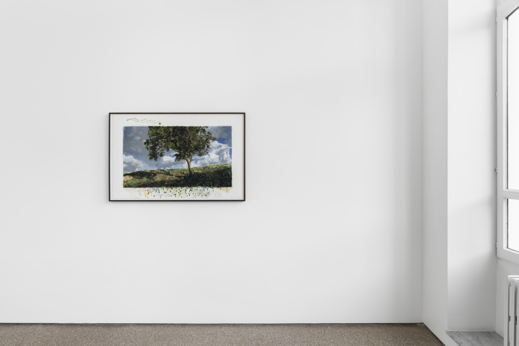 Installation view, Birdsong