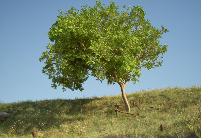 Annex: David Claerbout – Backwards Growing Tree