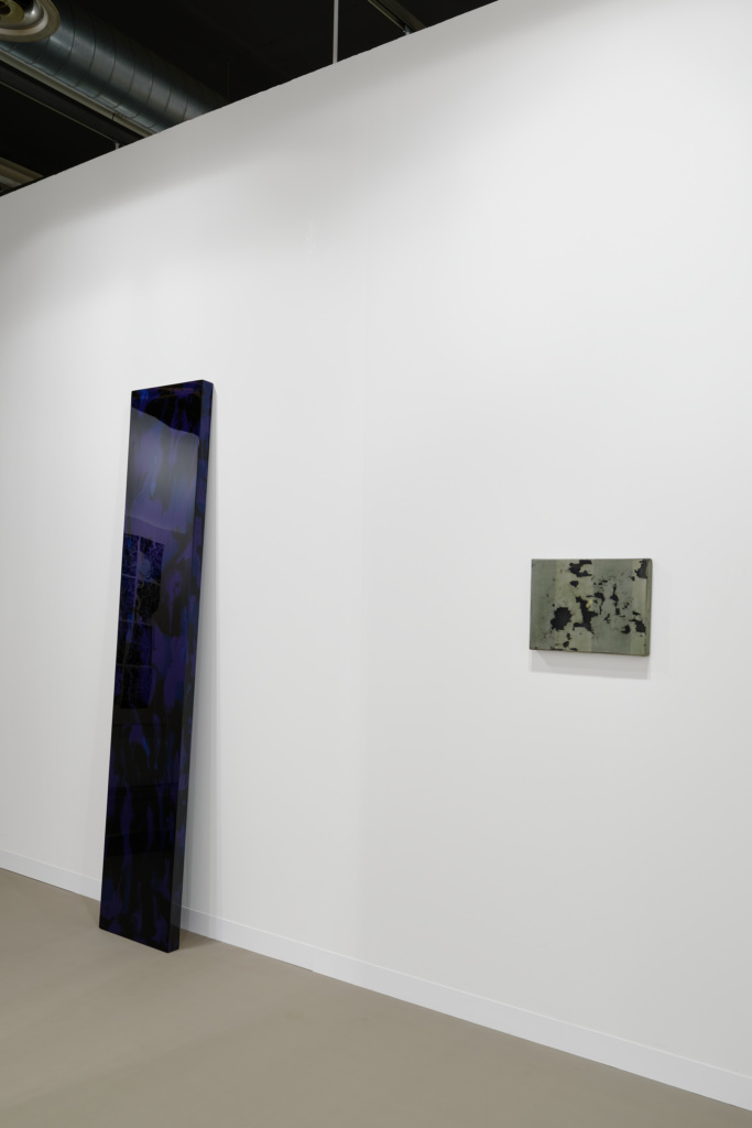 Installation view 2025