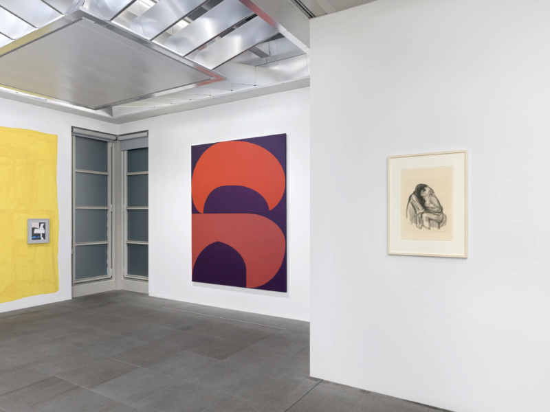 Collection Intervention by Amy Sillman
