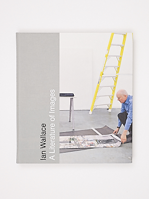 A Literature of Images