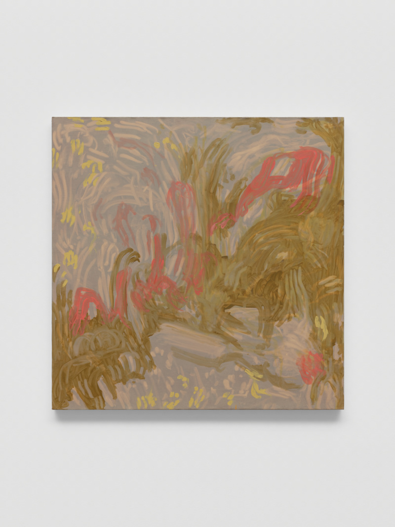 Sun Drenched Balance Beaming