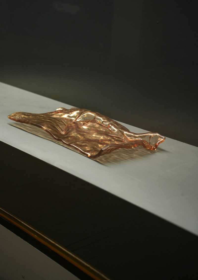 Biennale de Lyon